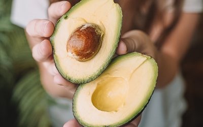 Estados Unidos reanudó la importación de aguacate mexicano