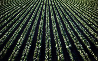 Colombia: Estas son las exportaciones que han aumentado a pesar de la covid-19