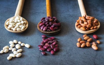 Honduras inicia exportación de granos a EE. UU.