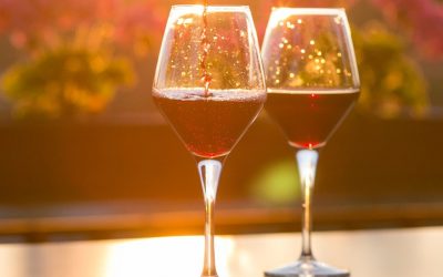 Crece la producción vitivinícola en el sur argentino, bajo el impulso de la marca Patagonia