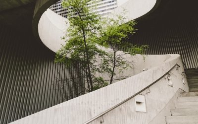 Costa Rica recibe $60 millones del Banco Mundial para conservación