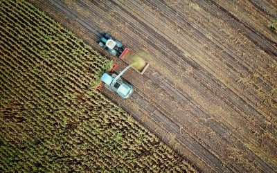 Las materias primas que mueven la economía de Latinoamérica