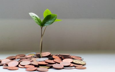 Columna de opinión: ¿Qué es “El Salario Emocional”?