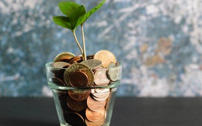 Perspectiva Económica