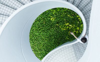 Construcciones sostenibles: un buen negocio para las empresas