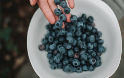 ADEX: El Perú se mantuvo como primer exportador mundial de arándanos en el 2020