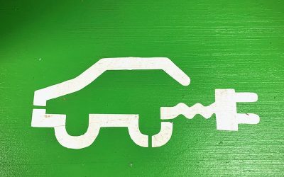 Sustentabilidad: tendencias 2021 y un nuevo enfoque