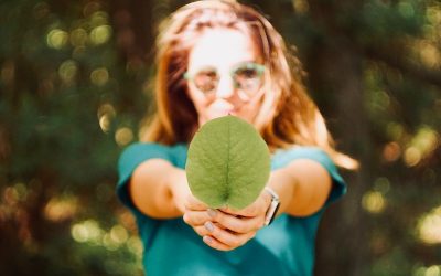 El auge de los empleos verdes