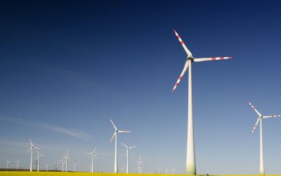 Sustentabilidad y desarrollo sustentable: cuál es la diferencia