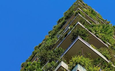 ¿Cómo ser una empresa B?