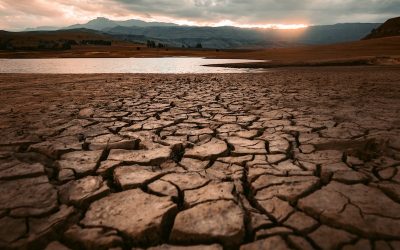 La sequía en California pone en jaque el suministro de alimentos en gran parte de EEUU