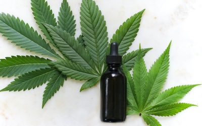 La industria del cannabis medicinal alcanzó los US$170 en Latinoamérica durante 2021