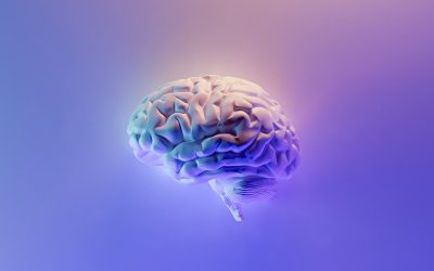 Qué es la inteligencia de negocios y cómo transforma empresas