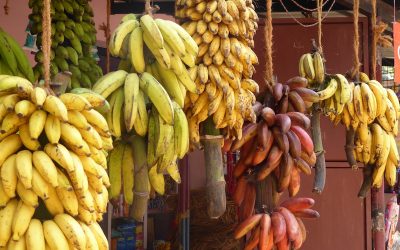 Rusia y Ucrania: qué efectos puede tener la invasión rusa en las economías de América Latina