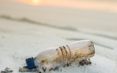 Regresartu botella de soda a ‘la tiendita‘resurge por precio y sustentabilidad