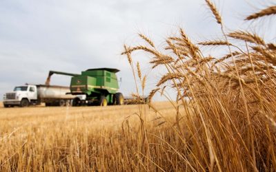 Rusia amenaza con exigir rublos por petróleo, granos y otras exportaciones