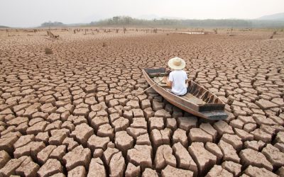 9 avances para el clima y la naturaleza en 2023 que quizás te perdiste