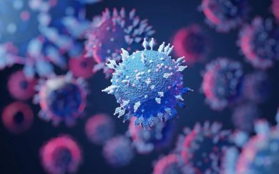 BA.4 y BA.5: las subvariantes más contagiosas del covid que están provocando nuevas olas de contagios