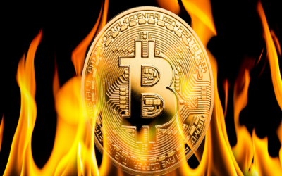 Quiénes son los «inversores camarón» y «ballena» que intentan salvar al bitcoin de la debacle