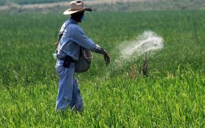 Brasil es un productor de alimentos demasiado importante para depender de las importaciones de fertilizantes, dice la industria