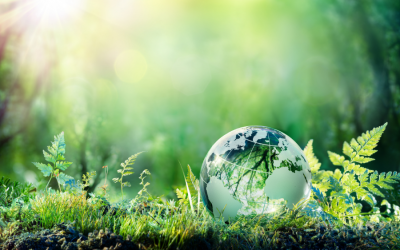 Medio ambiente: cuáles son los 9 límites que mantienen a la Tierra en equilibrio (y qué riesgos corremos por haber pasado 4)