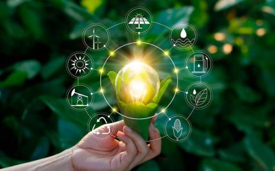 Se lanzó una Alianza Global sobre Economía Verde durante la Cumbre Mundial sobre Economía Verde en Dubái