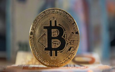 El bitcoin alcanza su mayor precio de la historia al superar los US$69.000: quiénes tienen los 19 millones de criptomonedas