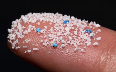 El filtro que evita que los microplásticos lleguen a nuestro organismo