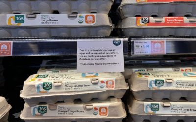 Se espera que los precios de los huevos se mantengan altos mientras continúe la gripe aviar