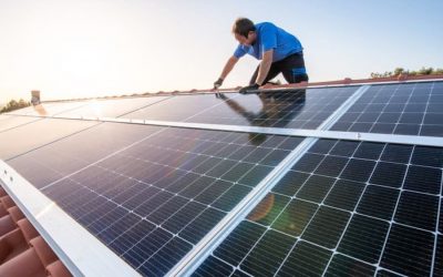 Paneles solares: los inesperados peligros que pueden provocar en el medioambiente