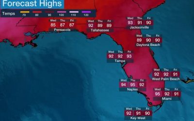 El calor del océano alrededor de la Florida «no tiene precedentes» y los científicos advierten sobre impactos importantes