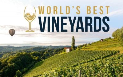 Los mejores viñedos del mundo: una celebración de exquisitos destinos vinícolas