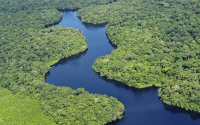 FMI ve con buenos ojos canje de deuda a cambio de compromiso climático