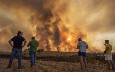 ¿Por qué los incendios forestales de Chile fueron tan letales?