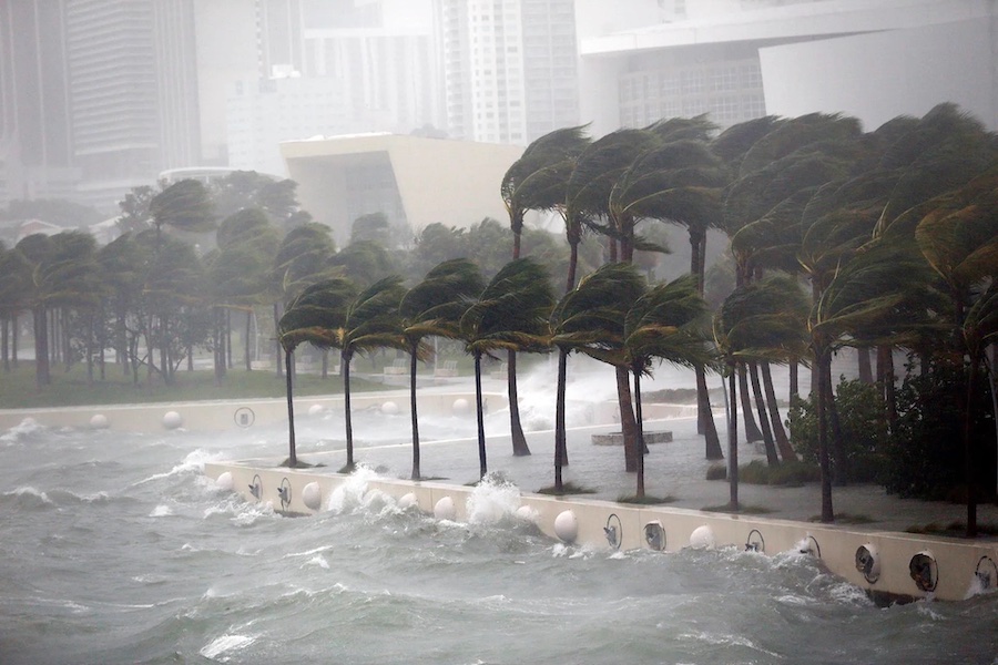 Miami es la ‘zona cero’ del riesgo climático. La gente se está mudando al área y construyendo allí de todos modos