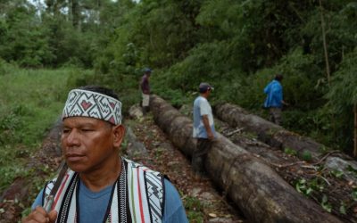 Perú: Los madereros invaden una tribu aislada y el gobierno se encoge de hombros