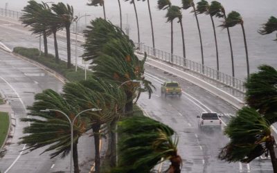 Cómo los residentes de Miami pueden preparar sus finanzas para la temporada de huracanes