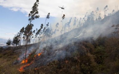 Declaran emergencia nacional en Ecuador por los incendios, el déficit hídrico y la sequía