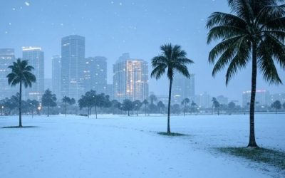 ¿Nieve en Florida? Los legisladores estatales cancelan sus reuniones legislativas ante el clima invernal