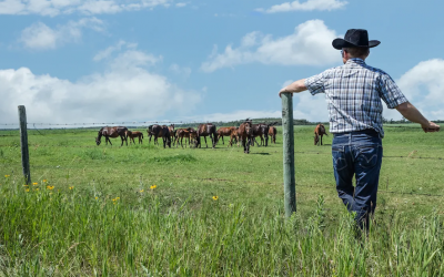 Conozca en manos de quién está la tierra en Estados Unidos según Land Report 100