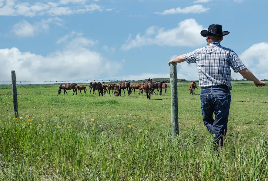 Conozca en manos de quién está la tierra en Estados Unidos según Land Report 100