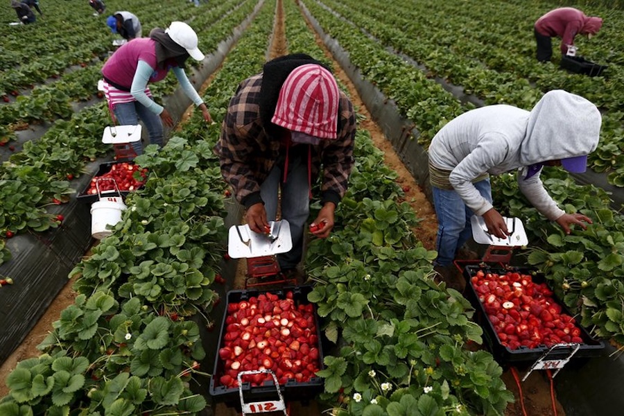 China pone en vigor los aranceles a productos agrícolas de EEUU con que responde a los de Trump