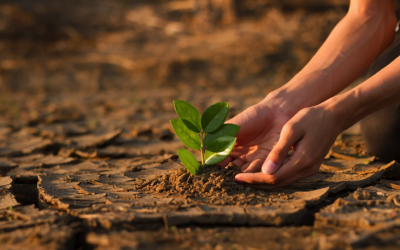 Bill Gates pide evitar visiones apocalípticas sobre el cambio climático