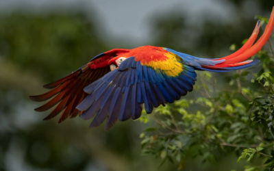Los mejores lugares para viajar en 2026 según la BBC (y cuáles están en América Latina)
