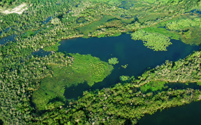 América Latina concentra el 45% de las reservas de agua dulce del mundo gracias al Acuífero Guaraní